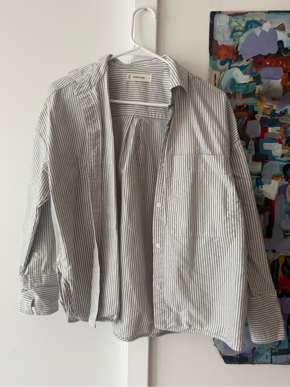 Cropped Boxy Oxford Top Everlane